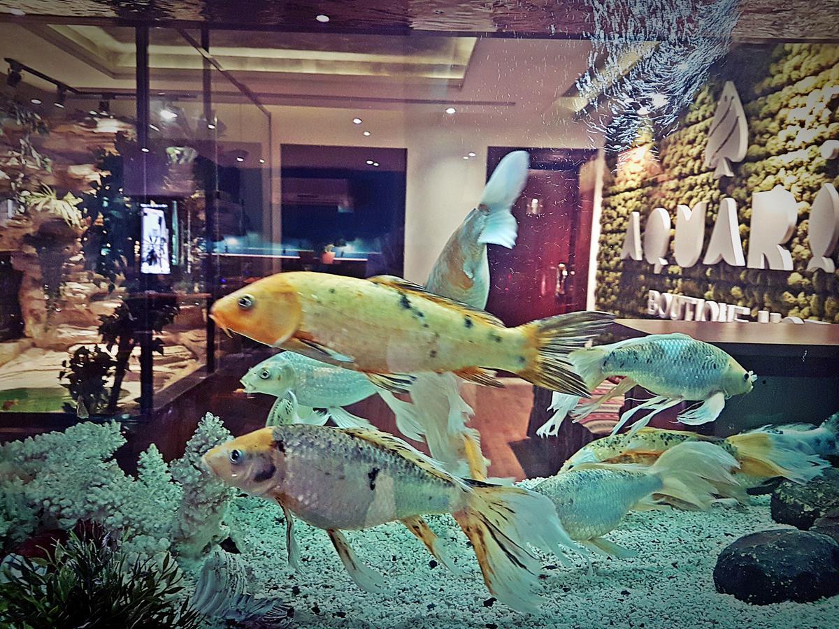 Aquarium Hotel Riadh Exterior foto